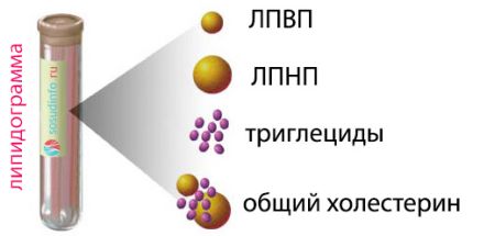 Липопротеиды высокой плотности норма по возрасту таблица
