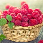 малина для похудения