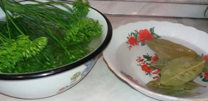 Соление грибов в домашних условиях на зиму в банках