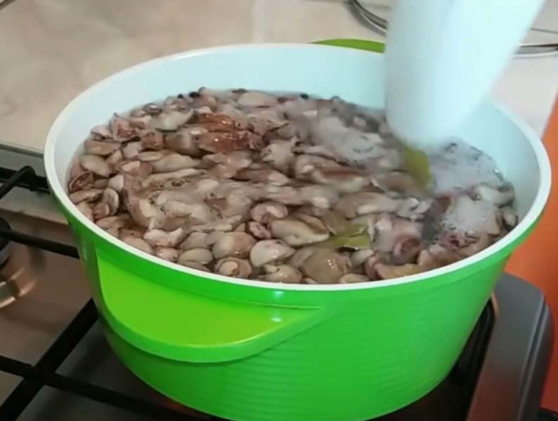 Соление грибов в домашних условиях на зиму в банках