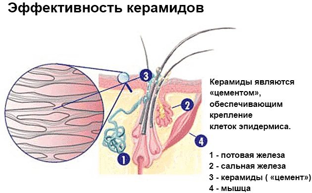 Matrix Color Sync краска для волос. Палитра, фото, оттенки, инструкция окрашивания