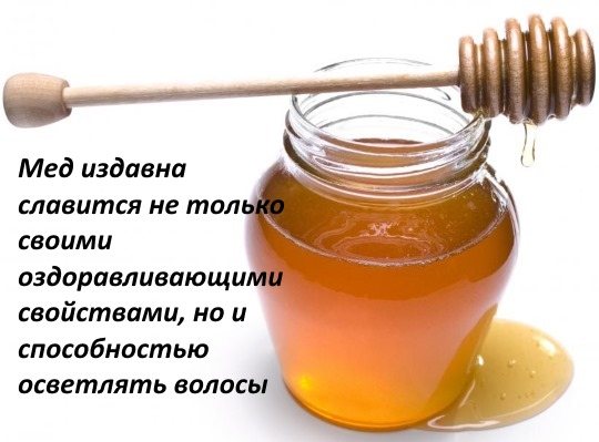 мед
