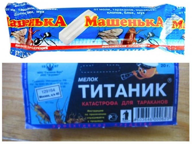 Как избавиться от мокриц в квартире самостоятельно