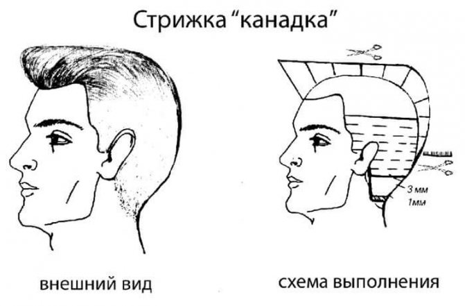 Мужские стрижки с выбритыми висками с названиями и примерами