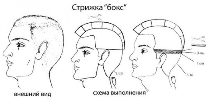 Мужские стрижки с выбритыми висками с названиями и примерами