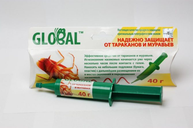 Насекомые в ванной – как избавиться от непрошенных гостей