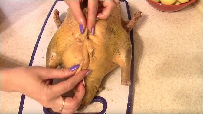 наполняем утку яблоками и закрепляем края