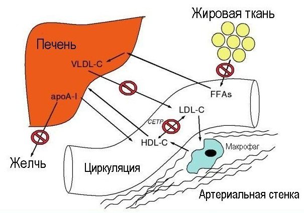 Никотиновая кислота для бровей и ресниц в ампулах. Применение, как пользоваться, фото, отзывы