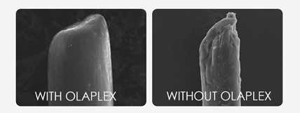 olaplex - Цвет темный блонд: оттенки, волосы, краска, фото