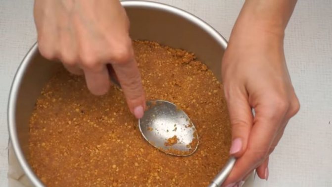 Торт из печенья без выпечки — 7 вкусных рецептов в домашних условиях