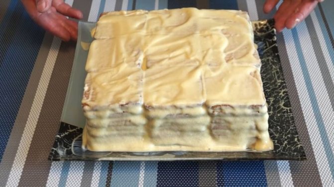 Торт из печенья без выпечки — 7 вкусных рецептов в домашних условиях