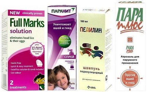 Головная вошь — откуда берется и как избавиться !?