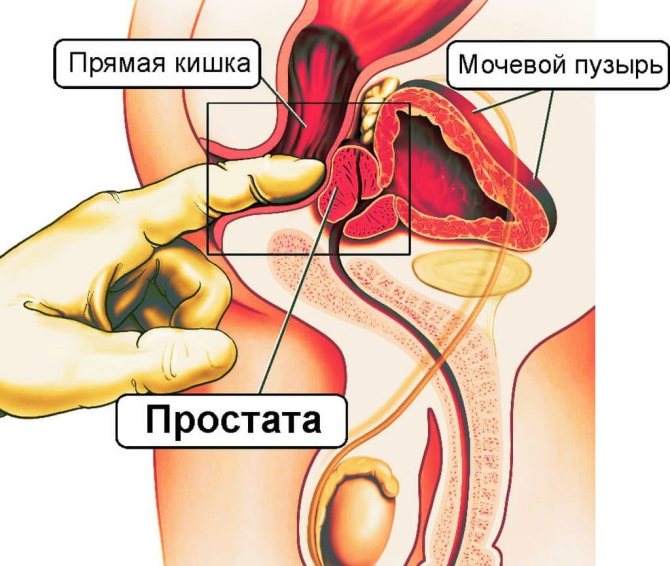 Перед началом массажных мероприятий нужно провести обследование и посетить врача для консультации