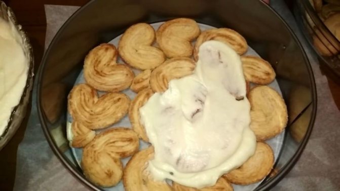 Торт из печенья без выпечки — 7 вкусных рецептов в домашних условиях