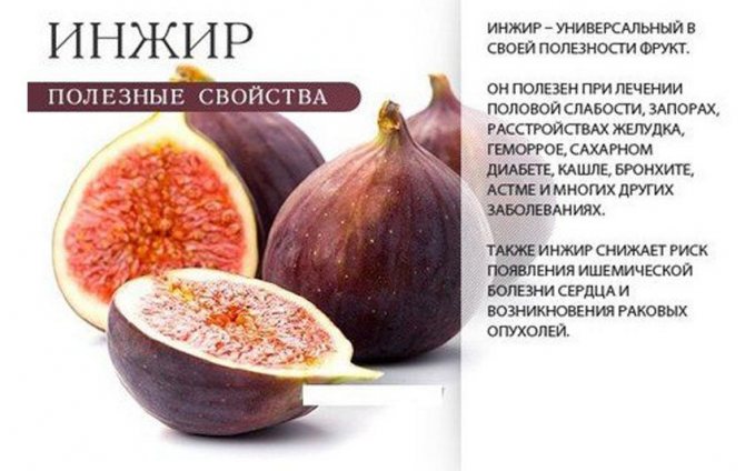 полезные свойства