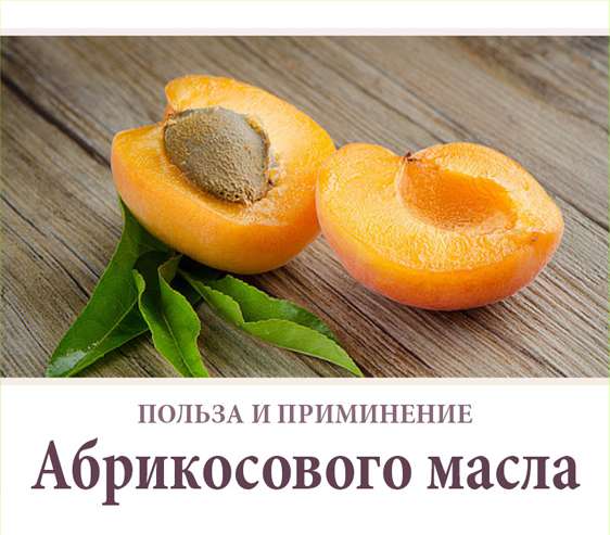 Масло из абрикосовых косточек – состав, свойства и применение
