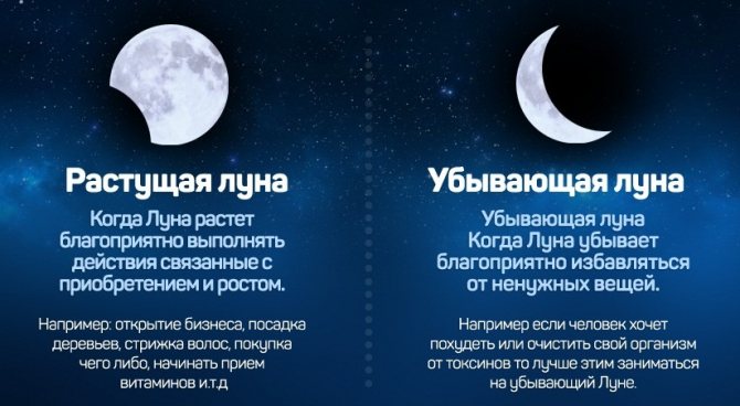 Приметы на деньги и богатство для каждого — прогоните бедность прочь