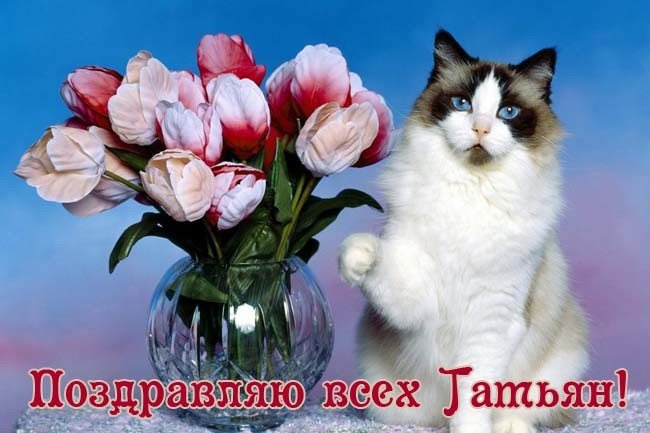 Поздравления с Татьяниным Днем 25 января прикольные