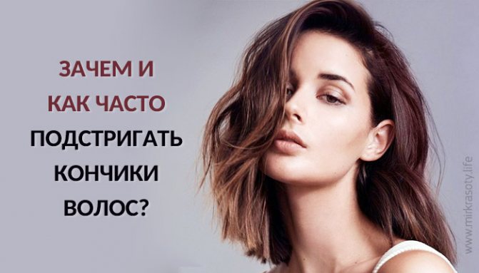 Развеиваем мифы: как часто и нужно ли вообще подстригать кончики волос?