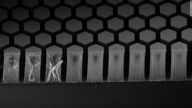 Самый черный цвет в мире — все о краске Vantablack