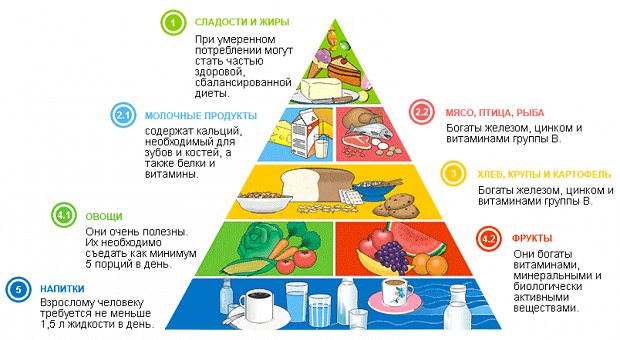 Сбалансированное питание