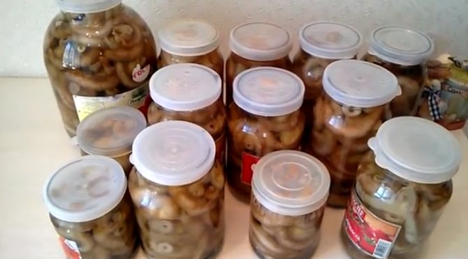 Как подавать соленые и маринованные грузди к столу