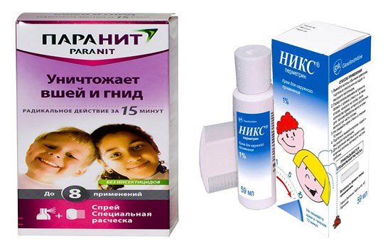 Опасность или неприятность - вши у беременной: что делать, какие средства использовать?
