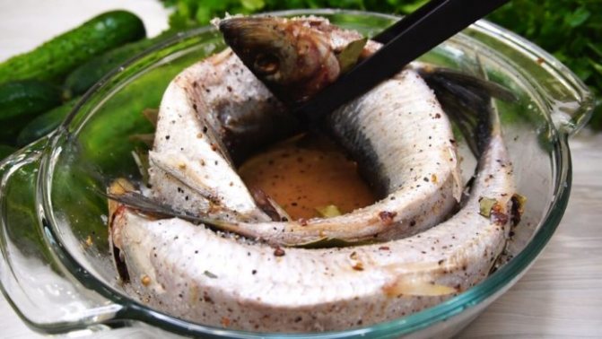 Как засолить селедку в домашних условиях — вкусные рецепты
