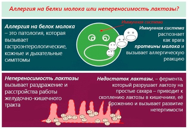 Селенцин для волос: шампунь, таблетки, спрей, маска, лосьон, витамины. Состав, инструкция по применению