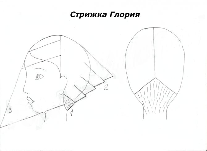Схема глории