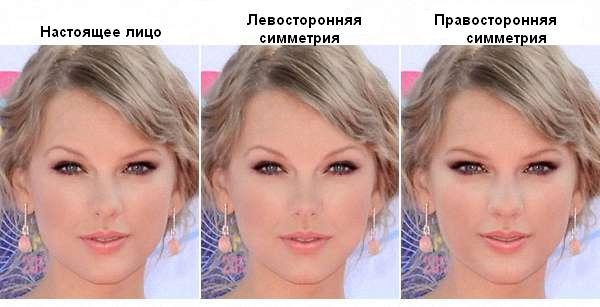 Симметрия лица на примере Тейлор Свифт