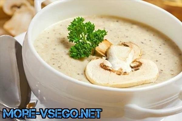 Грибной суп из сушеных грибов – 10 самых вкусных рецептов