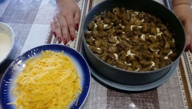 слой из обжаренных грибов