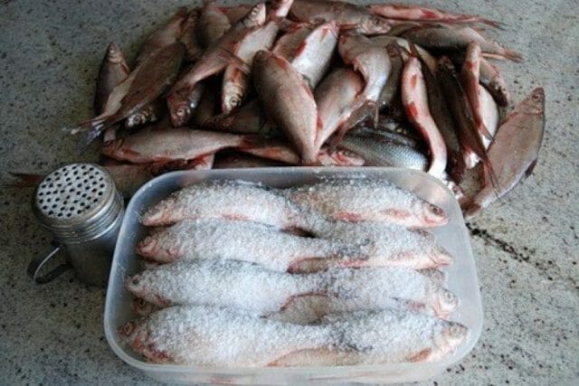 Солим речную рыбу в домашних условиях