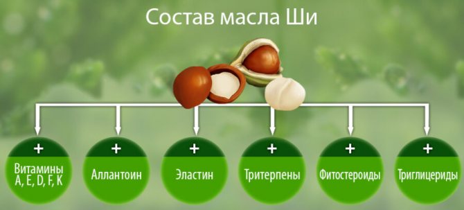 Неделя путешествий, день 2. Масляный спрей для загара за 2 минуты (рецепт и видео мастер-класс)