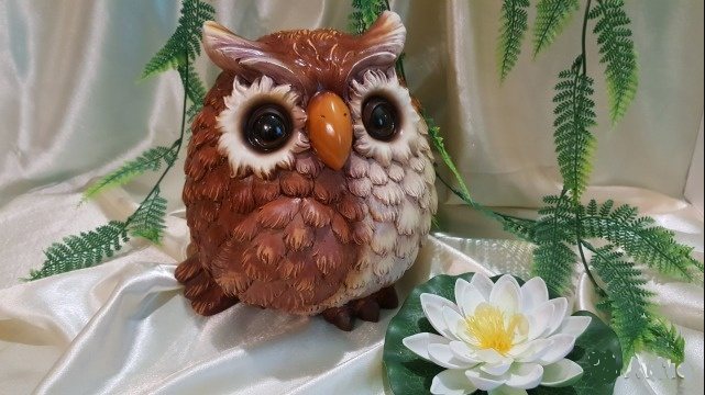 Амулет сова: что означает, для какого знака Зодиака подходит