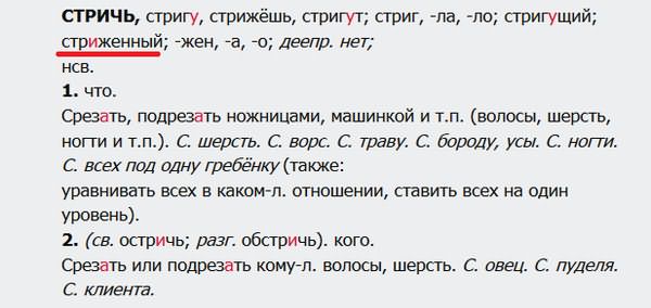 Модная классика: все, что нужно знать о мужской стрижке полька