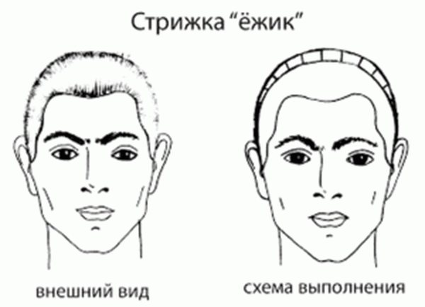 Мужская причёска «Ёжик»: кому подходит, правила выполнения и секреты укладки