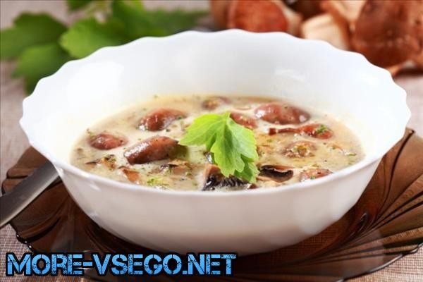 Грибной суп из сушеных грибов – 10 самых вкусных рецептов