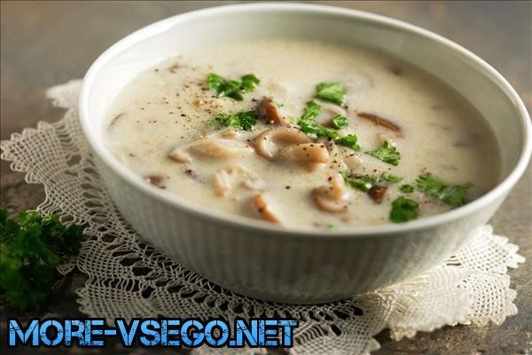 Грибной суп из сушеных грибов – 10 самых вкусных рецептов