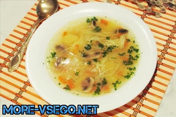 Грибной суп из сушеных грибов – 10 самых вкусных рецептов