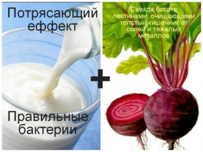 Свекла полезна сама по себе, а в сочетании с кефиром эффект ее пользы лишь усиливается