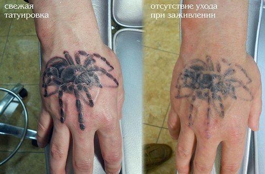 Тату без ухода, словно начали сводить