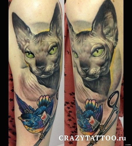 Тату кот-сфинкс, Crazy Tattoo