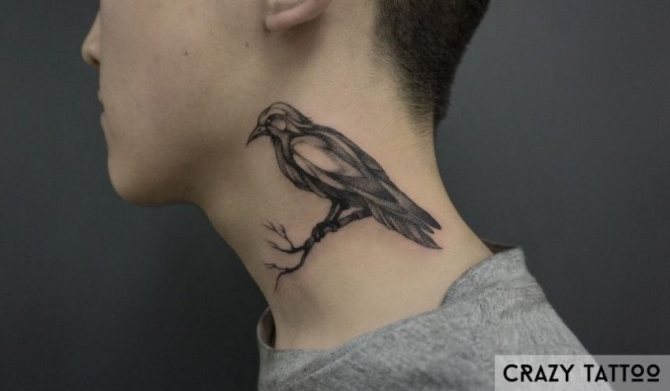 Тату птица, CrazyTattoo