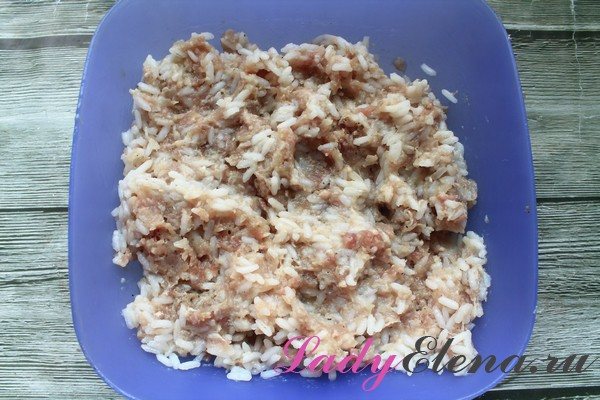 Рецепт детских тефтелей из индейки в соусе. Вкусное и диетическое блюдо из индейки – тефтели с подливкой