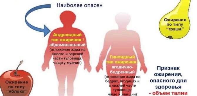 Лишний вес из-за гормонов: какие из них нужно проверить?
