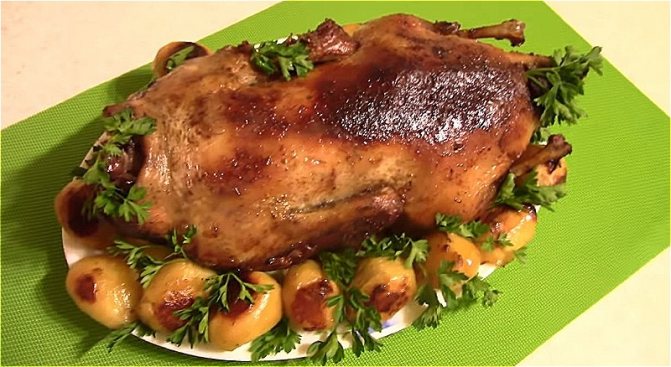утка с яблоками и картофелем утятнице
