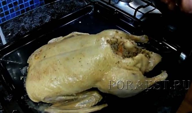 Как правильно готовить утиную грудку и вкусный пошаговый рецепт приготовления