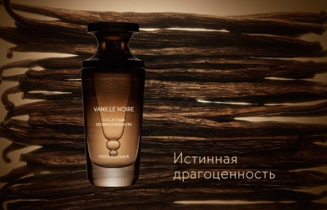 Эфирное масло ванили — аромат, который невозможно не любить
